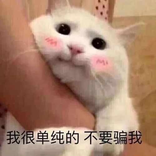 DƬ